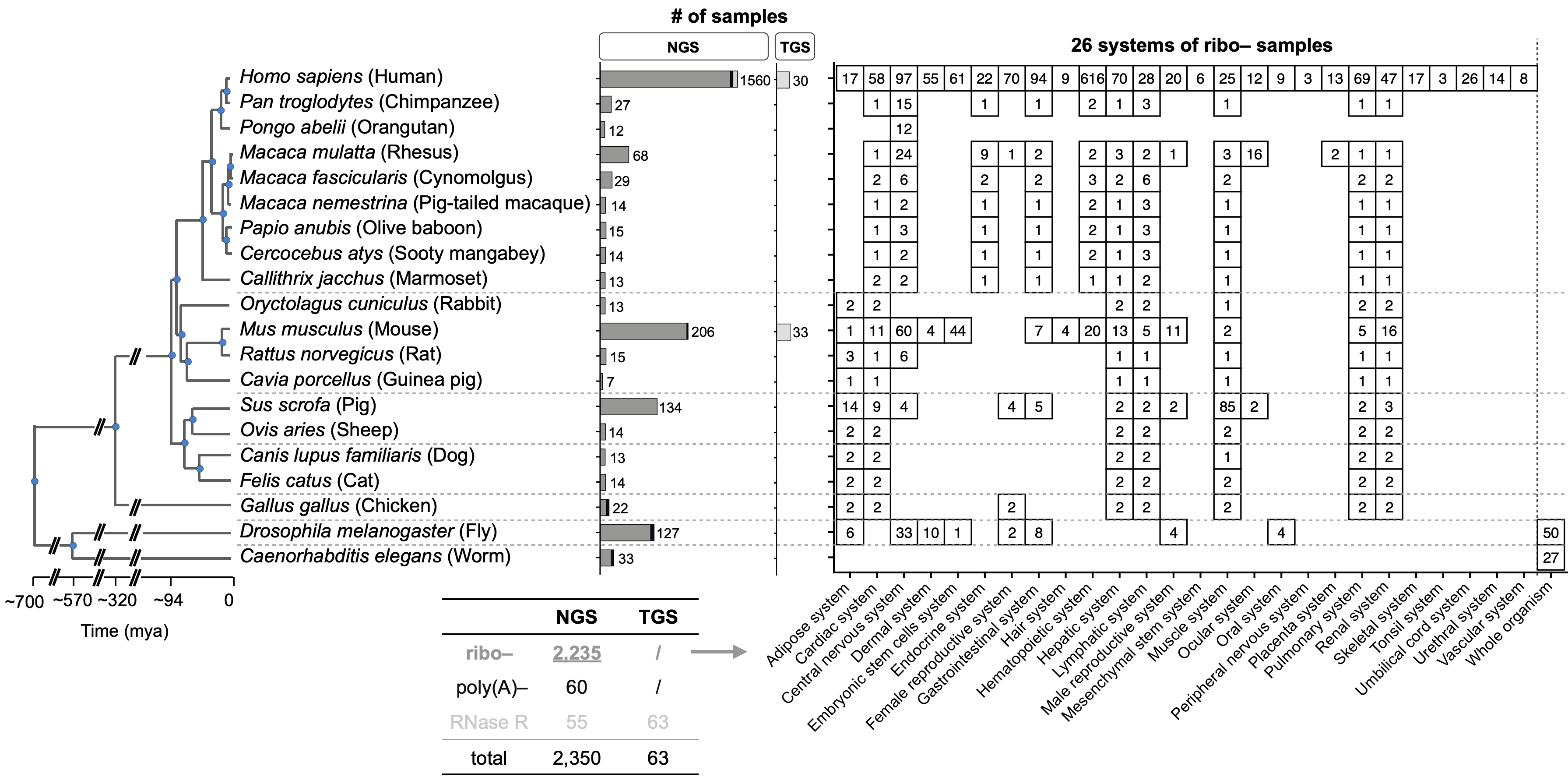 The overview of CIRCpedia v3