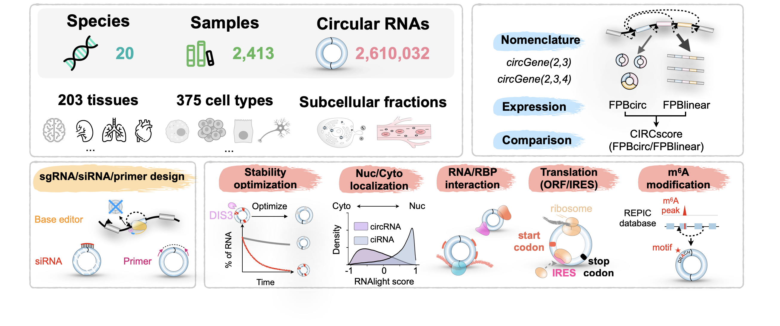 The overview of CIRCpedia v3